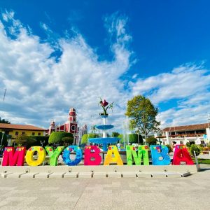 Alto Mayo